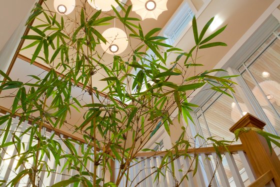 Photo 9 for Craftsman House Plan #454-12 - 3 bed, 3 bath