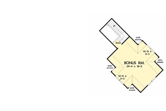 Optional Bonus Level