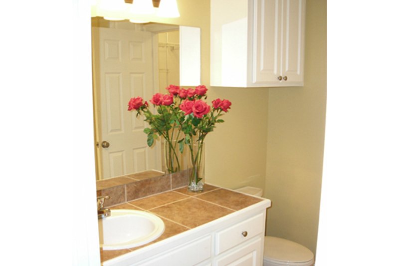 House Design - Interior - Bathroom 1 for Traditional House Plan #430-38 - 3 bed, 2 bath