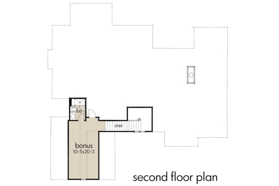 Optional Bonus Level