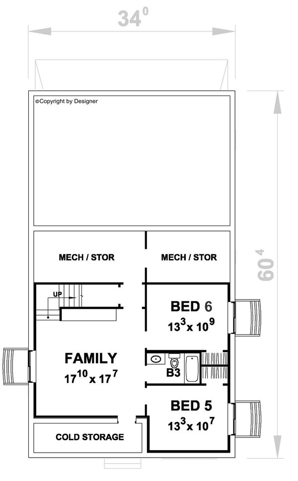 Home Plan - Traditional Floor Plan - Lower Floor Plan #20-2527