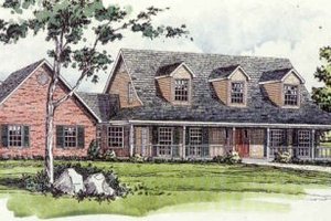 Country Exterior - Front Elevation Plan #16-210