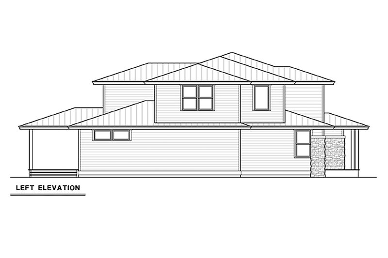 Dream House Plan - Left Side Elevation