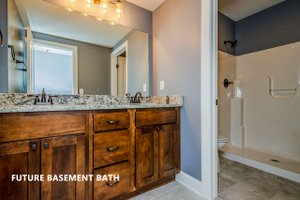 Future Basement Bath