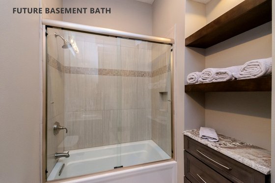 Future Basement Bath